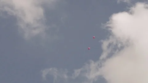 Pink balloons hovering in air02 Stock Footage 78573352