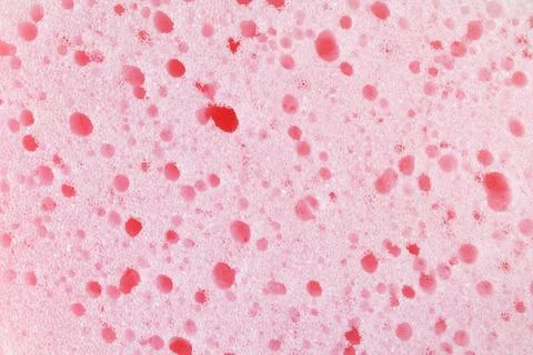 Pink Bathroom/Kitchen Sponge Texture 스톡 사진