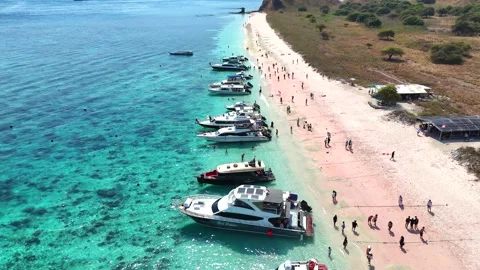 Pink Beach with Fast Boat and Turquoise Sea, Komodo National Park, Labuan Bajo. Stock Footage 341173595