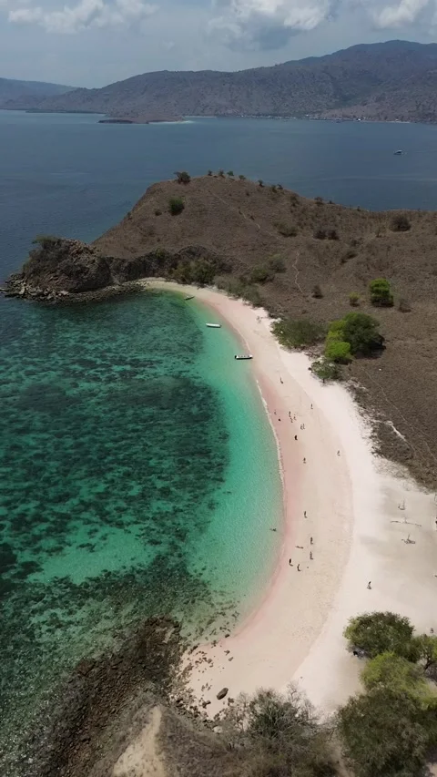 Pink Beach Stock Footage 259757811