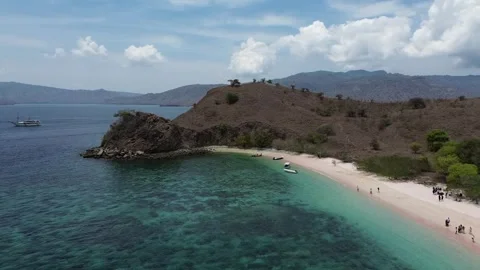 Pink Beach Stock Footage 259758582