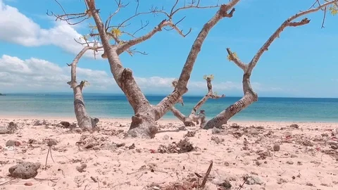 Pink Beach Indonesia Stock Footage 95647790