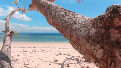 Pink Beach Indonesia Stock Footage 95650652