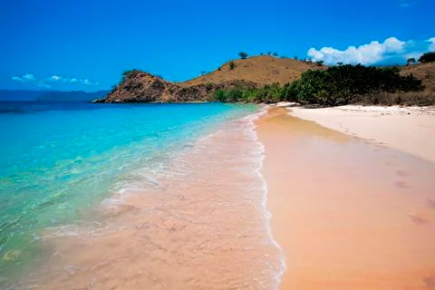 Pink Beach Stock Photos