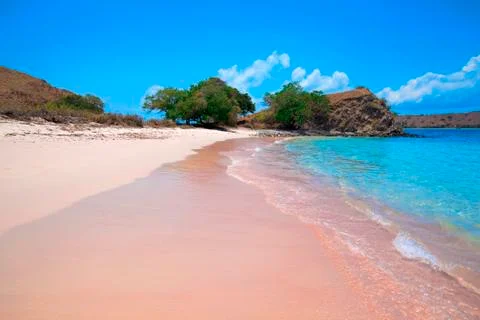 Pink Beach Stock Photos