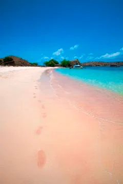 Pink Beach Stock Photos