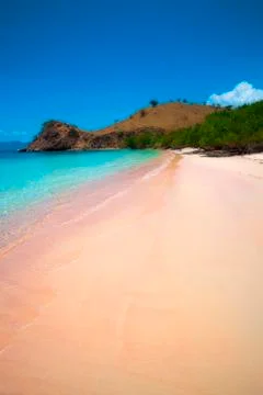 Pink Beach Stock Photos