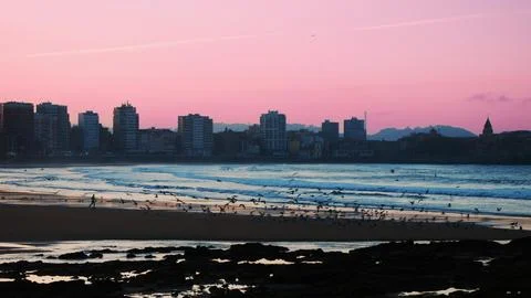 Pink beach Stock Photos