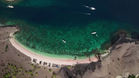 Pink beach with transparent ocean. Beach with natural pink sand in Komodo Video stock 261925004