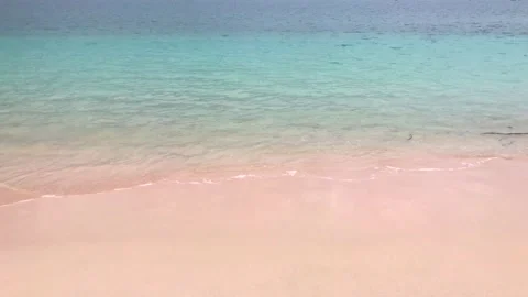 Pink beach on tropical beach Stock Footage 170244932