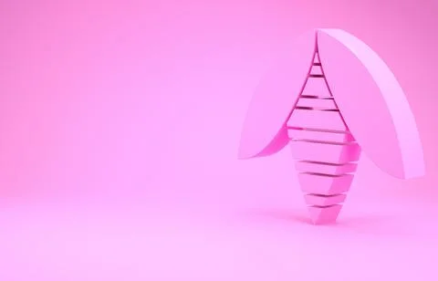 Pink Bee icon isolated on pink background. Sweet natural food. Honeybee or ap 스톡 일러스트