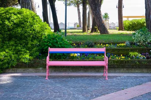 Pink bench in the park 写真素材