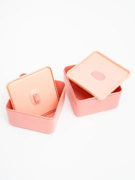 Pink bento boxes nested open view Foto stock