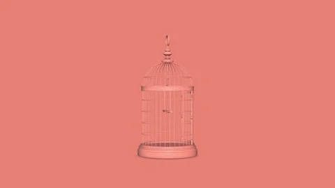 Pink Birdcages Stock-Footage 145762969