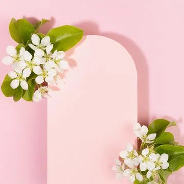 Pink blank rectangle rounded arch card for text mockup with white apple tree  Stock Photos