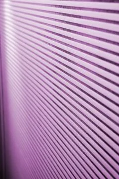 Pink Blind Office Fotos Stock