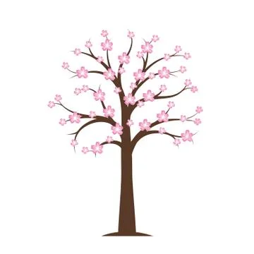 Pink blooming cherry tree in spring Stock-Illustration