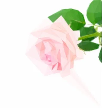 Pink blooming roses Stock Illustration