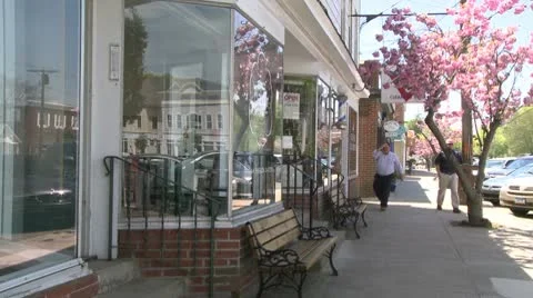 Pink blossomed trees lining the sidewalk (2 of 4) Stock Footage 10774373