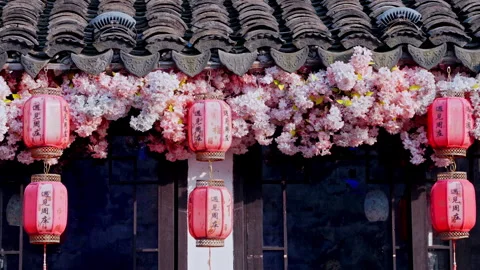 Pink Blossoms and Red Lanterns Adorning Traditional Chinese Architecture Stock Footage 337701493
