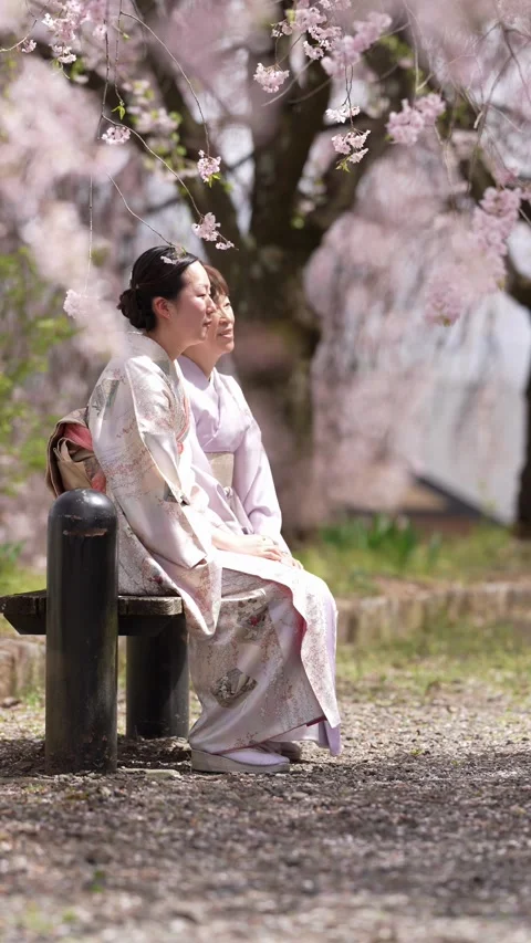 Pink blossoms drift gently in soft spring air Stock Footage 341081853