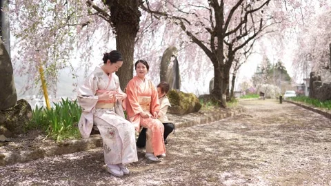 Pink blossoms drift softly around them Stock-Footage 341531805