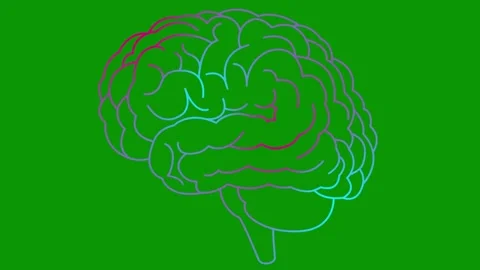 Pink blue line brain 2 green Vídeo Stock 304491863