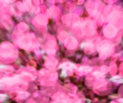 Pink bokeh background Stock Illustration