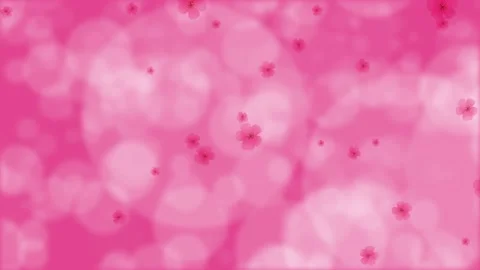 Pink bokeh. Falling herry blossoms. Spring flowers. Easter. Background. 25 fps Stock Footage 167202235
