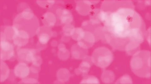 Pink bokeh. Falling herry blossoms. Spring flowers. Easter. Background. 23,98fps Stock Footage 167202293