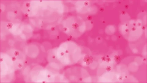 Pink bokeh. Falling herry blossoms. Spring flowers. Easter. Background. 59,94fps Stock Footage 167202307