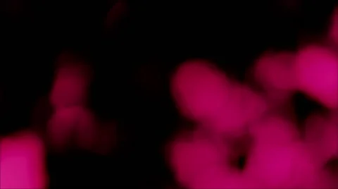 Pink Bokeh Flickering Lights Stock-Footage 64860330
