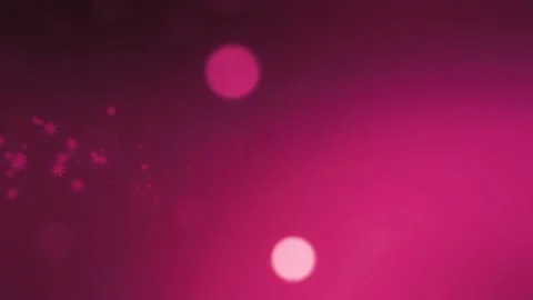 Pink Bokeh Particles Animation Loop  Stock Footage 231891683