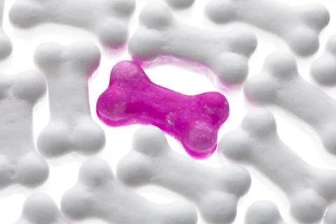 Pink bone candy Stock Photos