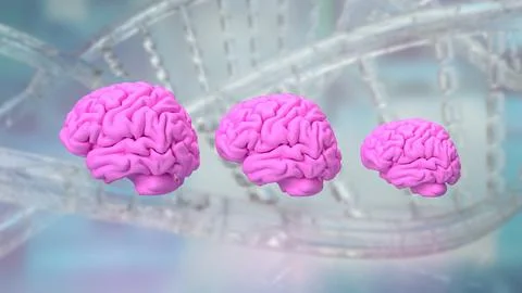 The pink Brain on DNA Background  3d rendering Stock Illustration