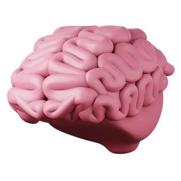 Pink brain high quality 3d render illustration icon isolated on white background Stock Illustration
