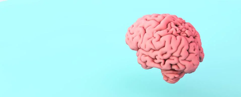 Pink brain Stock Illustration