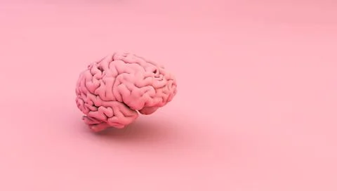 Pink brain Stock Illustration
