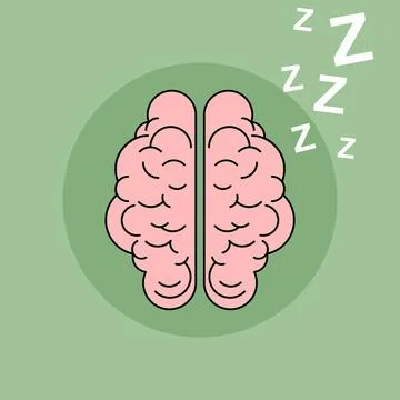 Pink brain inside a green circle with Z letter shapes to describe sleeping .. Stock Illustration