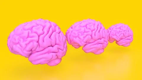 The pink Brain on yellow Background  3d rendering Stock Photos