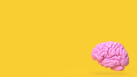 The pink brain on yellow background for creative or idea concept 3d rendering Stock Illustration