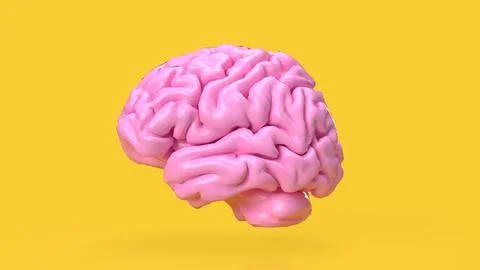 The pink brain on yellow background for creative or idea concept 3d rendering Stock Illustration
