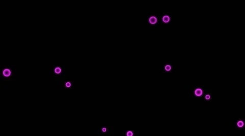 Pink Bubbles on Black Background 25fps Stock Footage 41462782