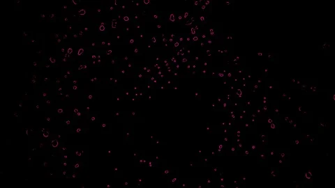 Pink bubbles on a black background Stock Footage 125700586