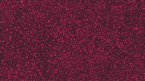 Pink Bubbles Circles on Black Background Dots Stock Illustration