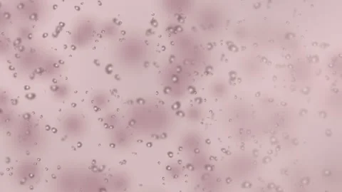 Pink bubbles floating in soft blur. 2d animation Stock-Footage 345875080