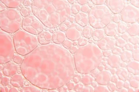 Pink Bubbles Stock Photos