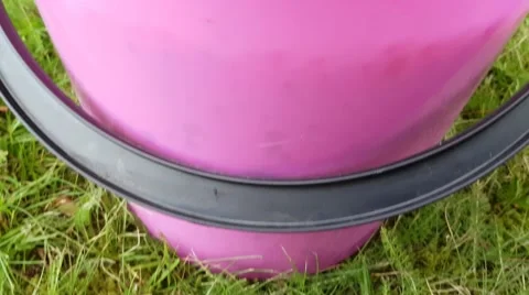 Pink bucket full of red currant, ribes rubrum Stock Footage 66310831