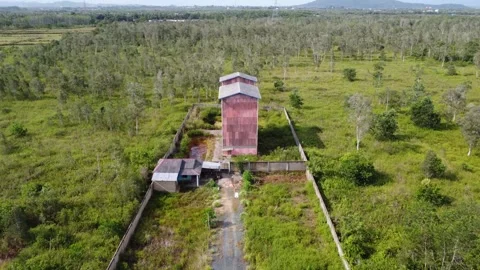 The pink building was made to be a place for a swallow's nest farm Stock Footage 248830635