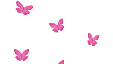 pink butterflies flying pattern animatio... | Stock Video | Pond5